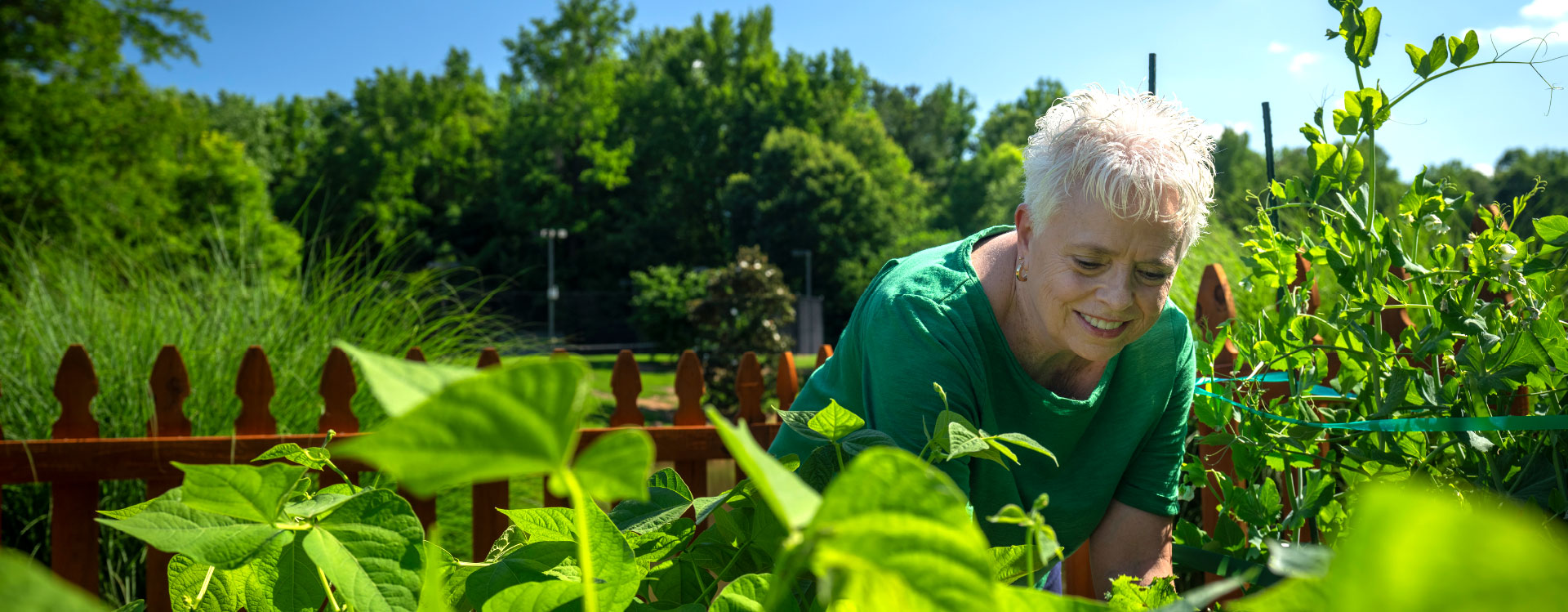 Independent_living_image