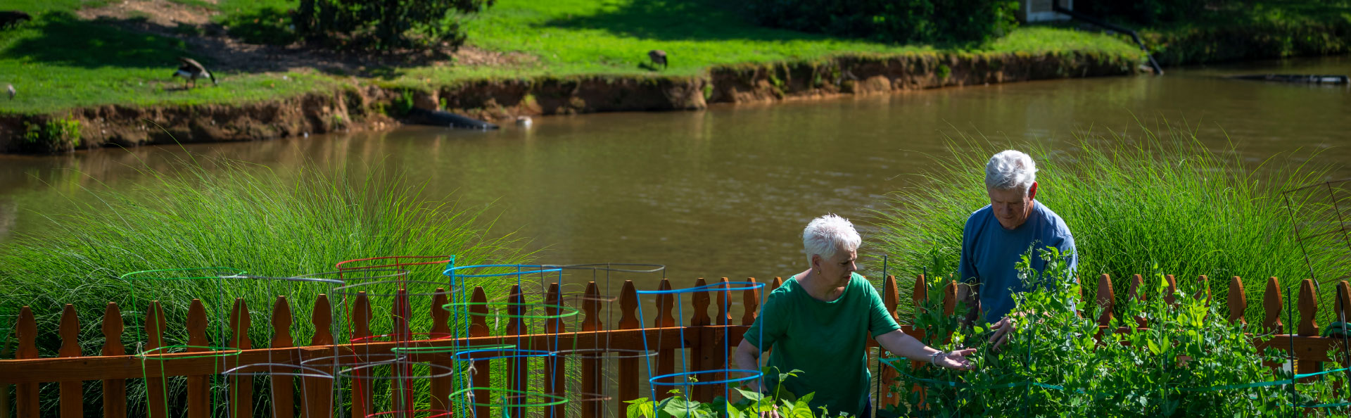 homelike_environment