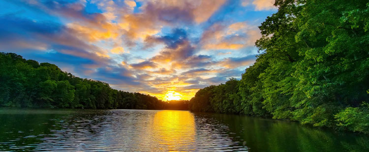 austell_footer_callout_meet_the_team