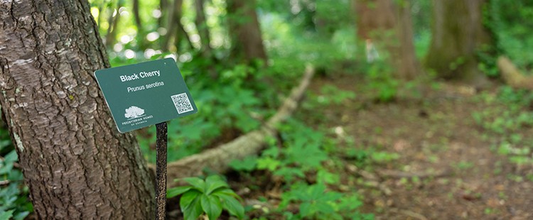 thumbnail_austell_footer_callout_campus_conservation