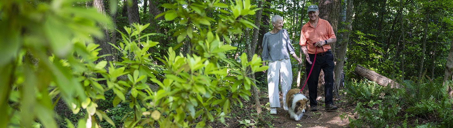 An elderly man and woman walk with their dog on a beautiful nature trail
